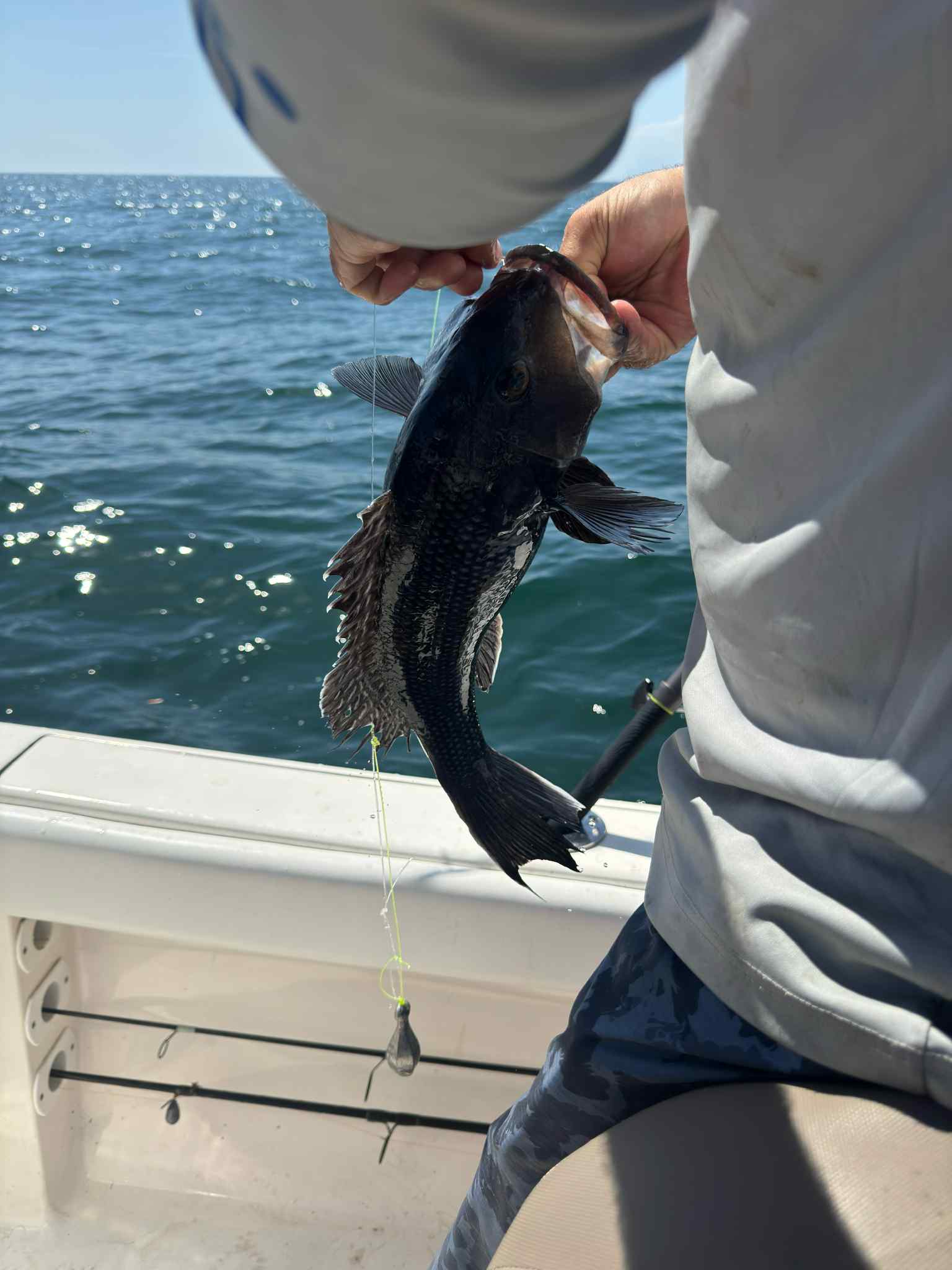 Fishing adventure 41