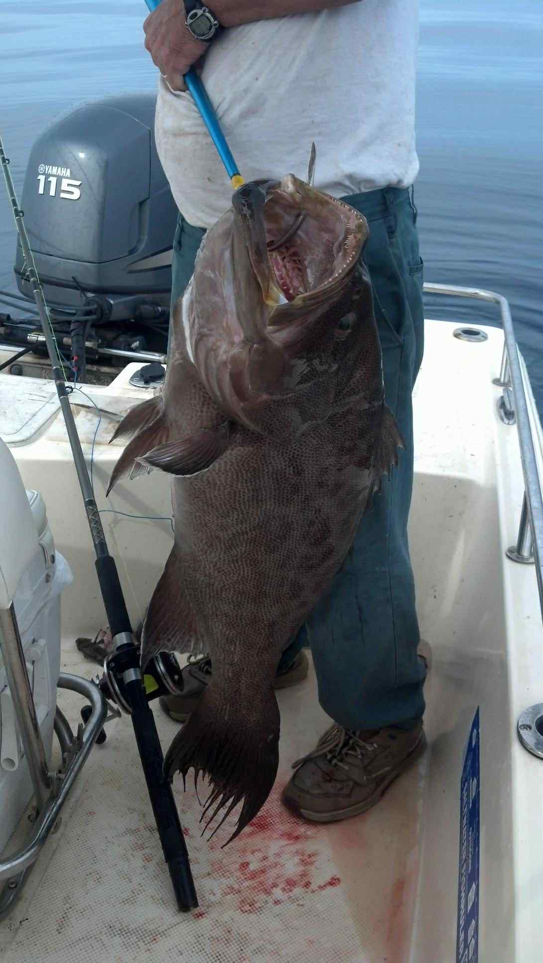 Fishing adventure 53