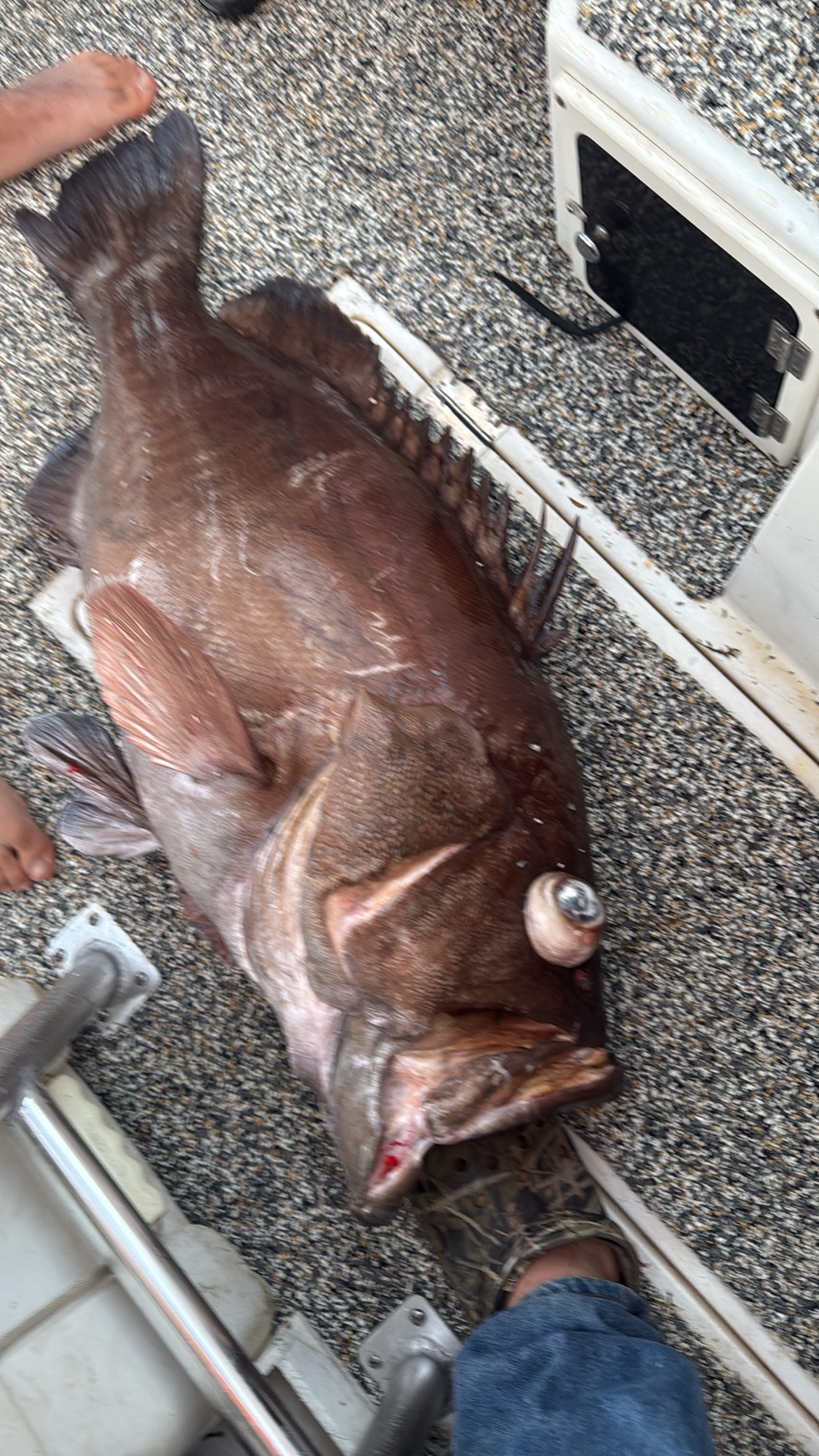 Fishing adventure 19