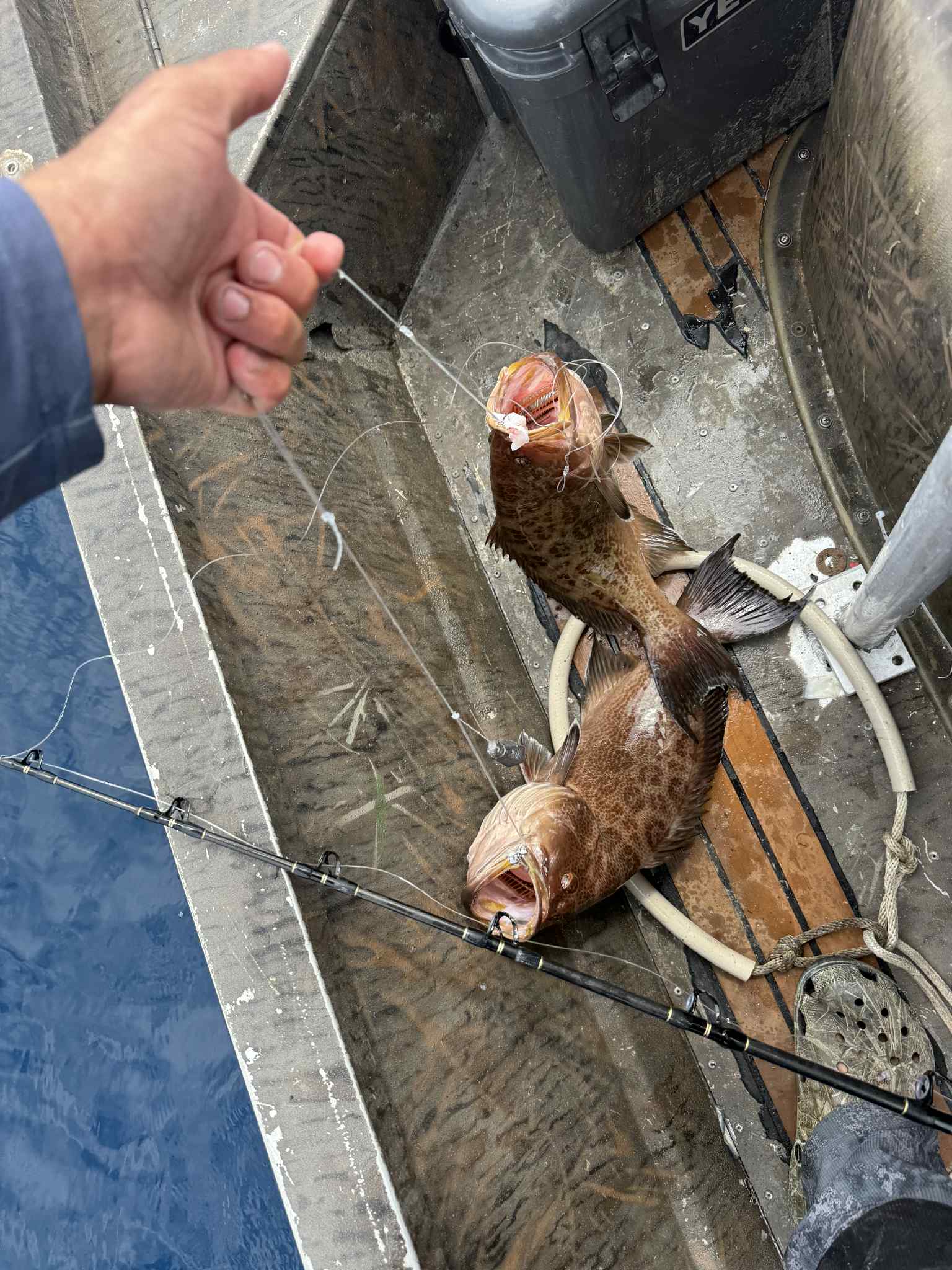 Fishing adventure 47